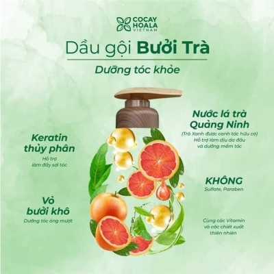 DẦU GỘI THẢO DƯỢC CỎ CÂY HOA LÁ BƯỞI TRÀ KÍCH MỌC TÓC, PHỤC HỒI HƯ TỔN HOTLINE 0843.820.555